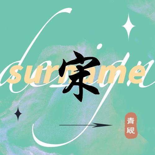 临海宋哥
