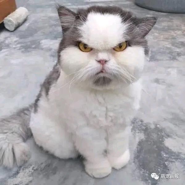 顺风又顺水，财源滚滚来