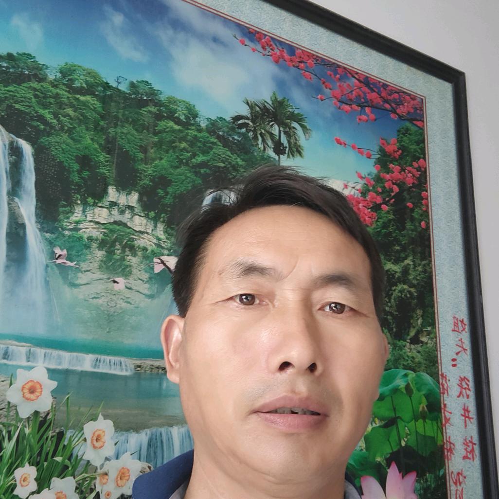爱拼才会羸