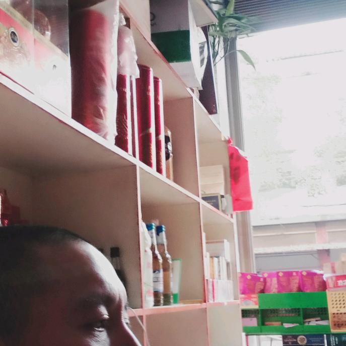 任我游