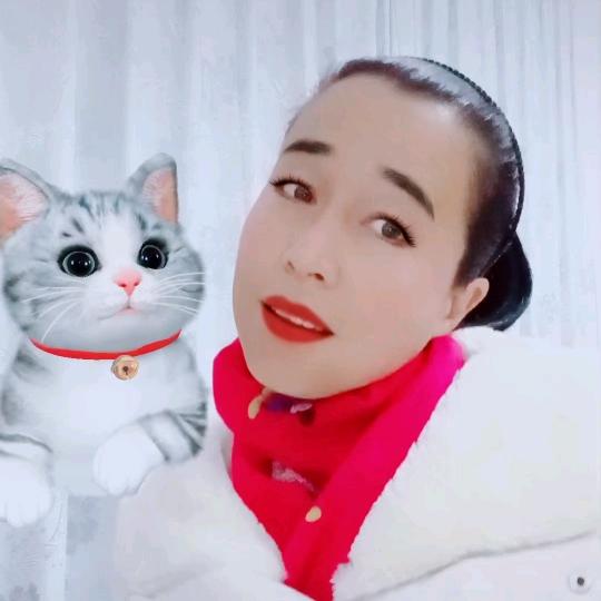 扫尘静心