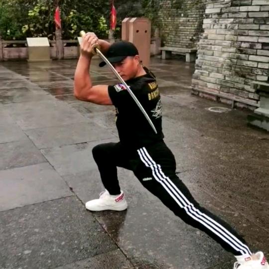 宝哥