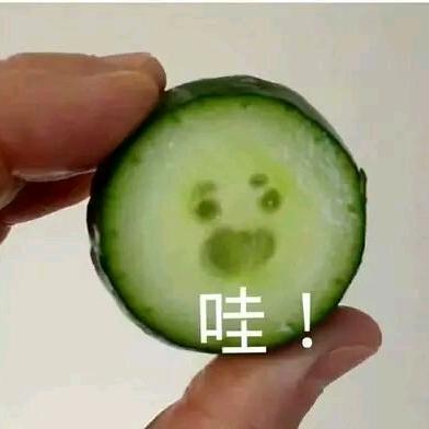 不想努力了🌈头像
