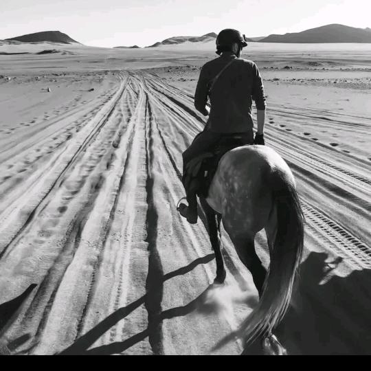 去码头整点薯条灬