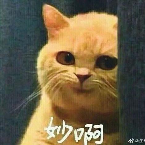 🌈嘻嘻