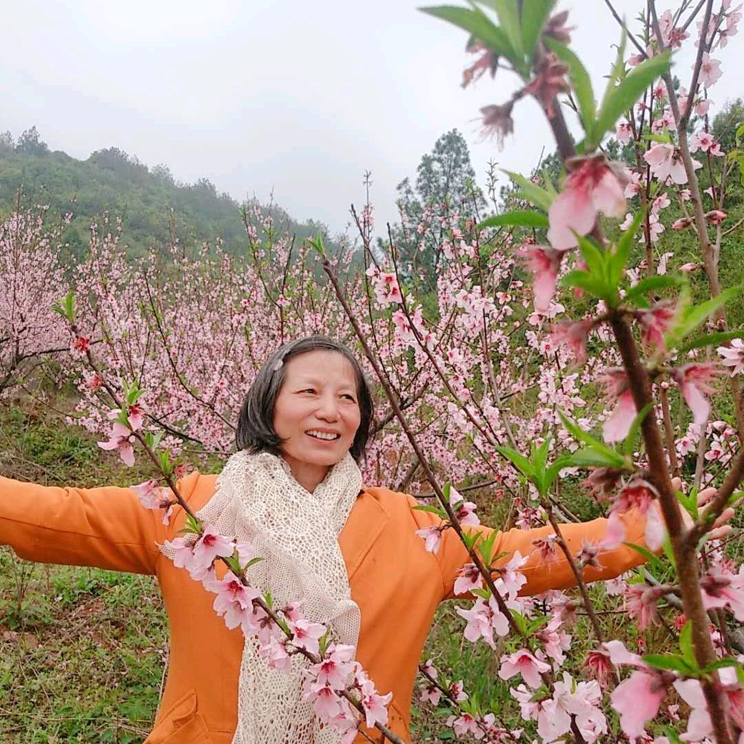 朵朵葵花