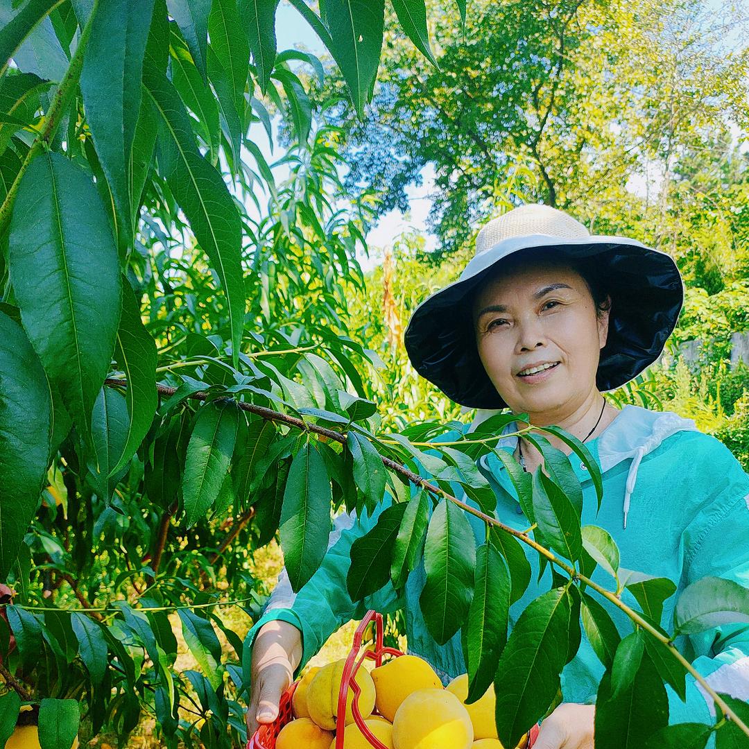 马继华