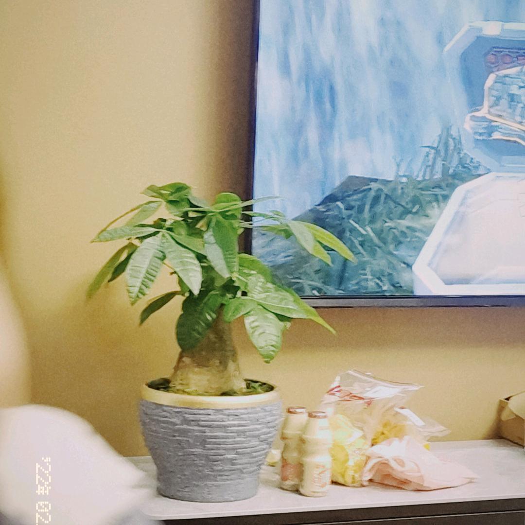 只想当一个小吃货