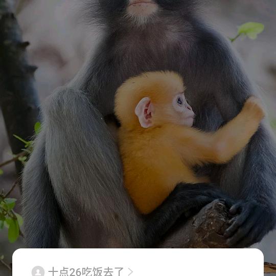 张斌