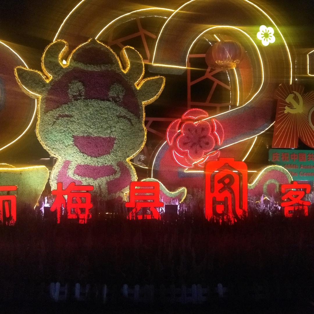 吉祥如意🍀💐💐