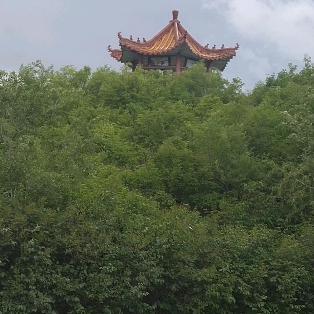 踏雪*寻梅