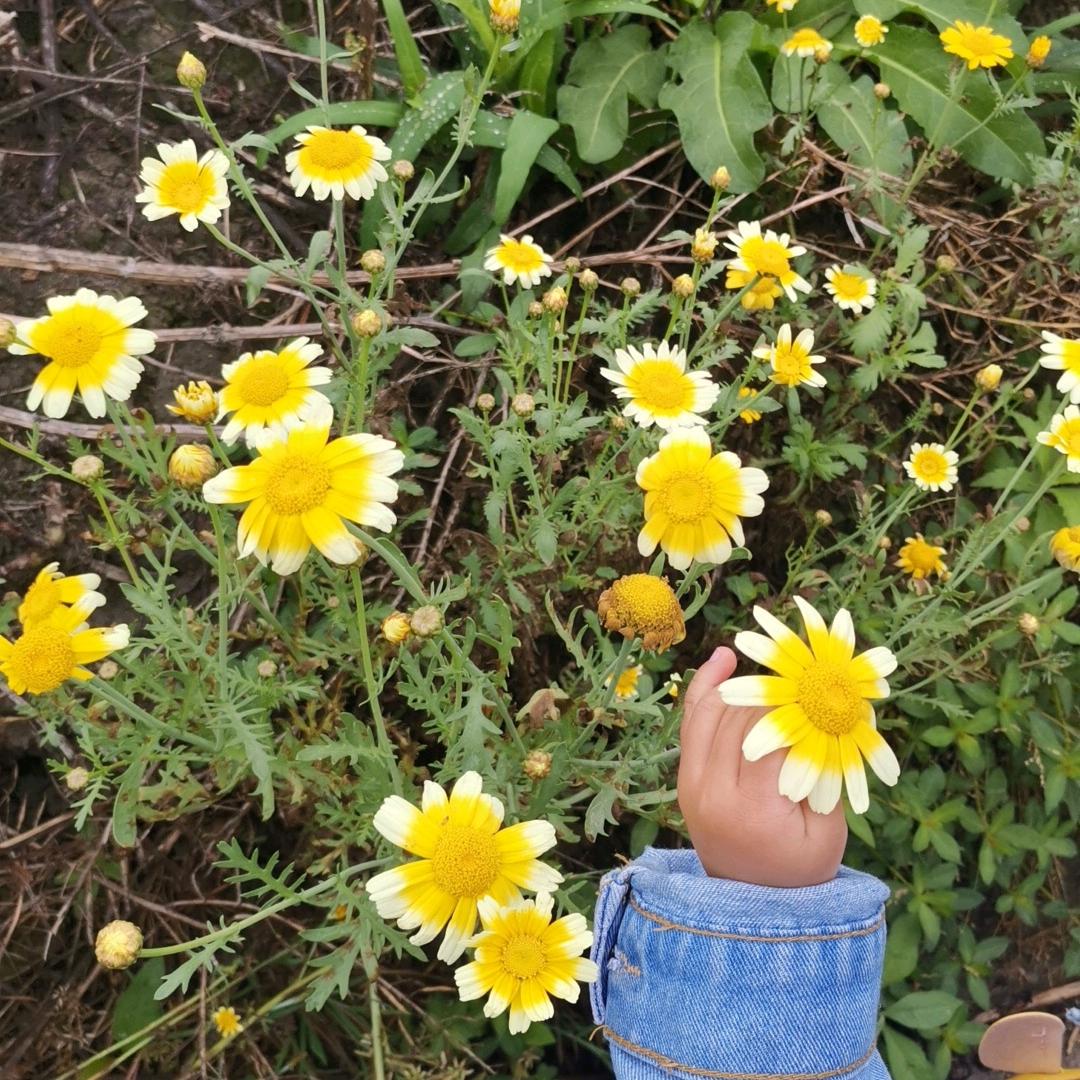 C一起飞
