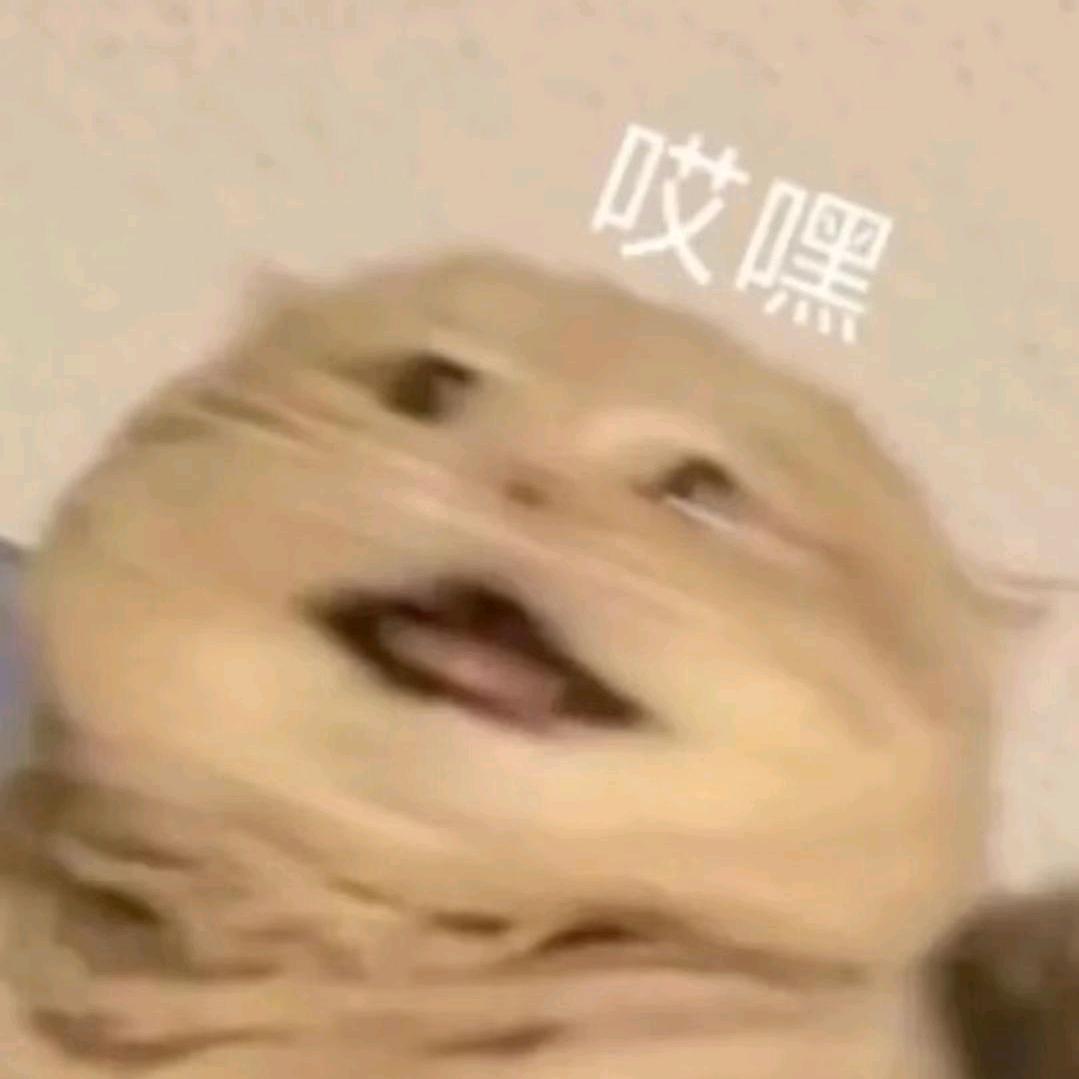 小是猪