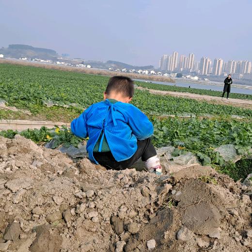 陈子爱喝可乐