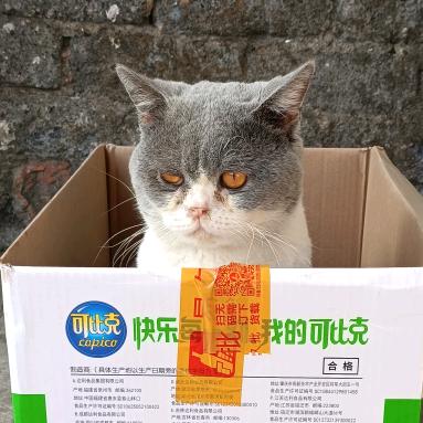 明天的明天