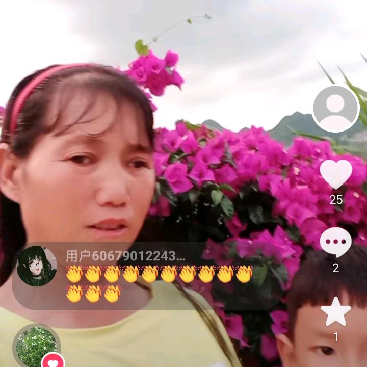木棉花