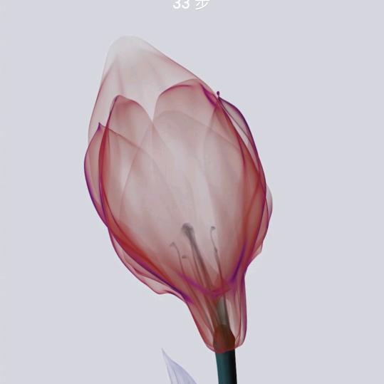 修