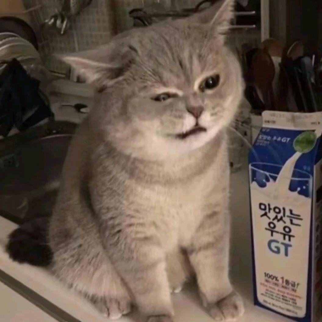 小挥挥