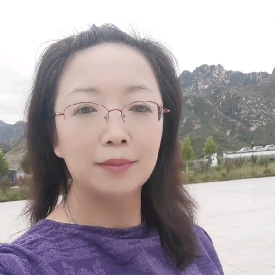 笔墨清荷