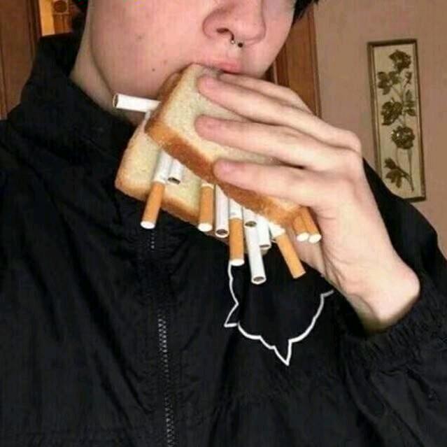 自由野菜三角龙头像