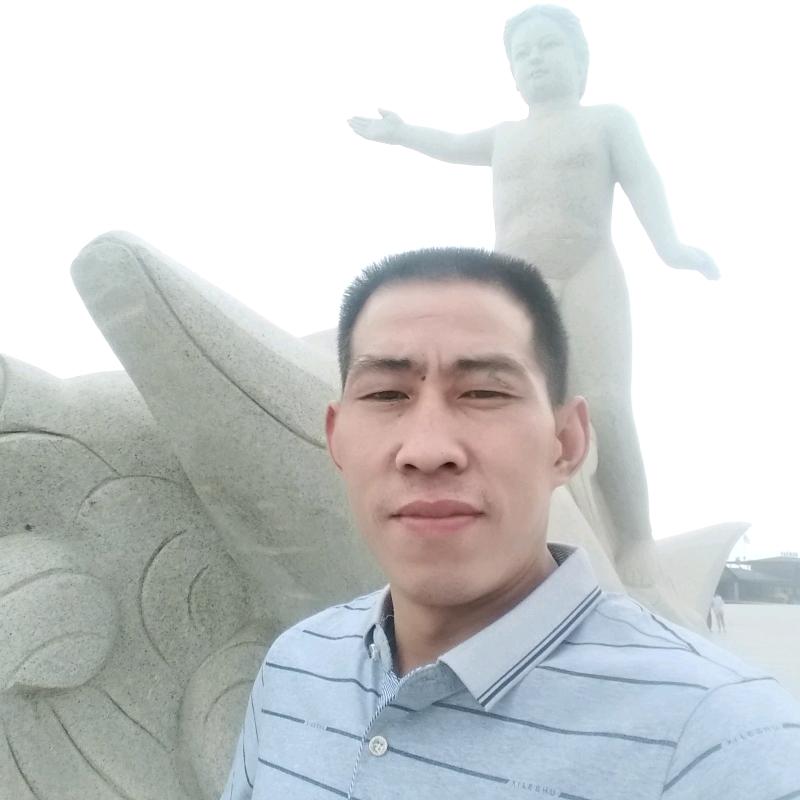 槐花树下的影子