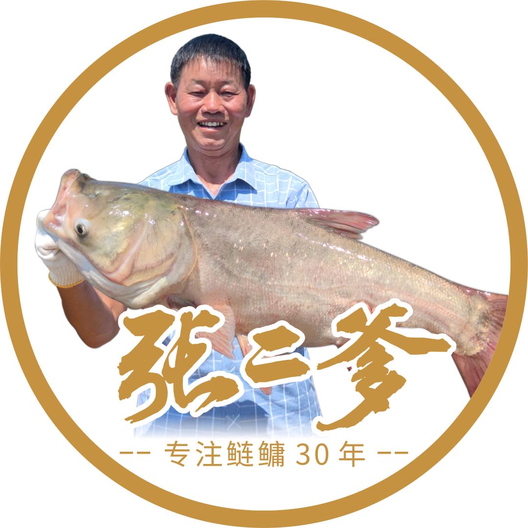 张二爹鲢鳙钓具专营店