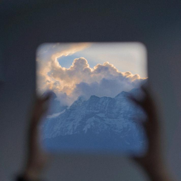 西花厅🌈海棠花又开了
