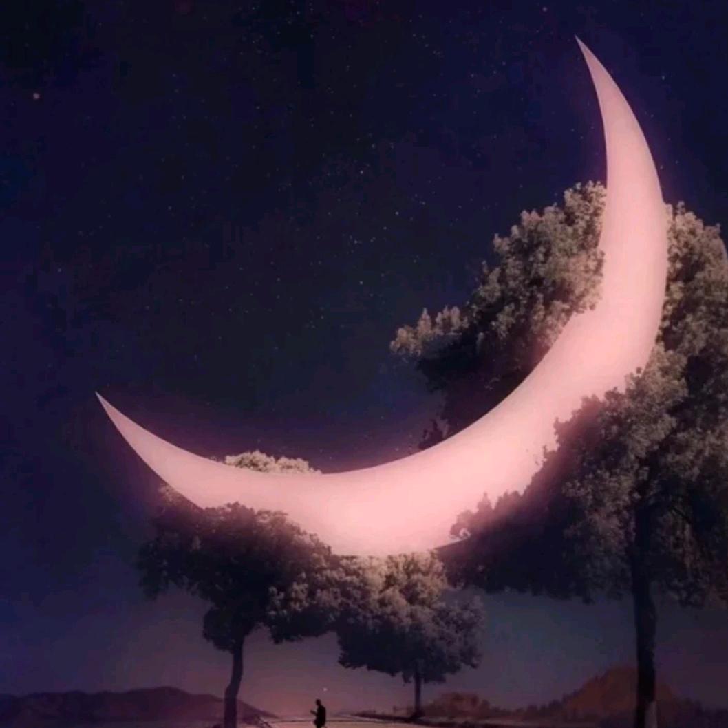 七寻🍒🍒🍒🍒