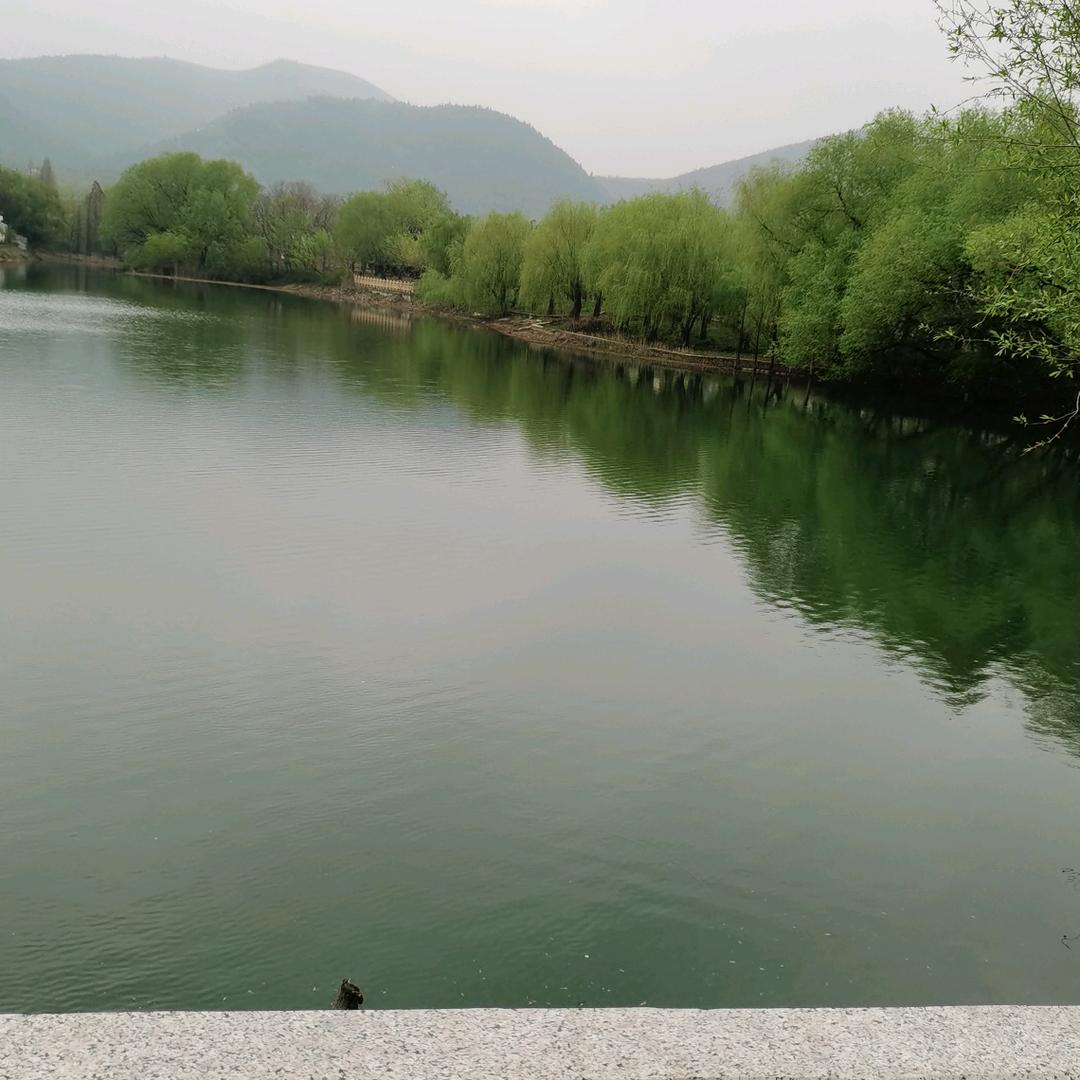 苍狼
