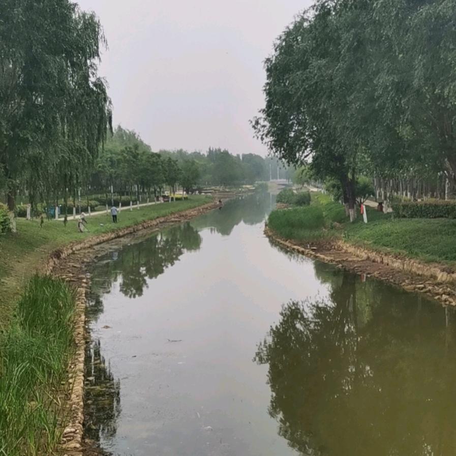 青新梦