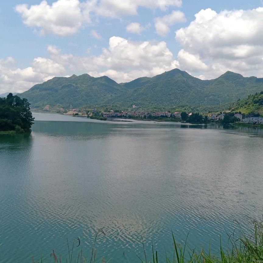 田