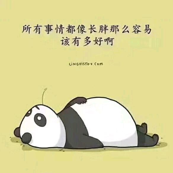 佛系锦鲤