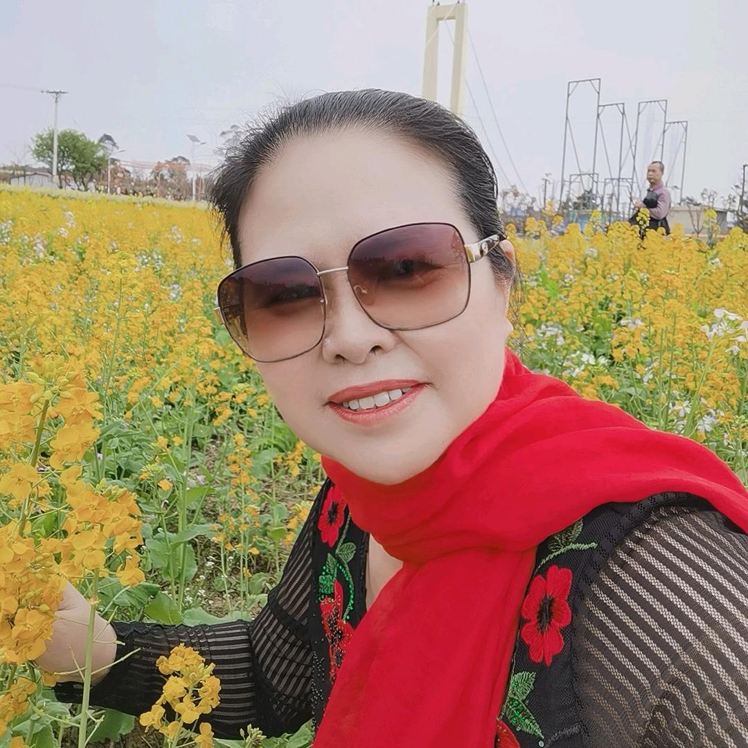 張明菊