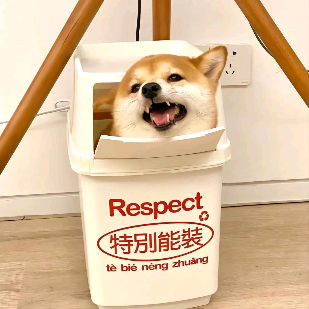 鹤 i