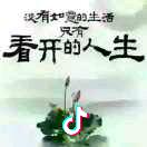含羞草
