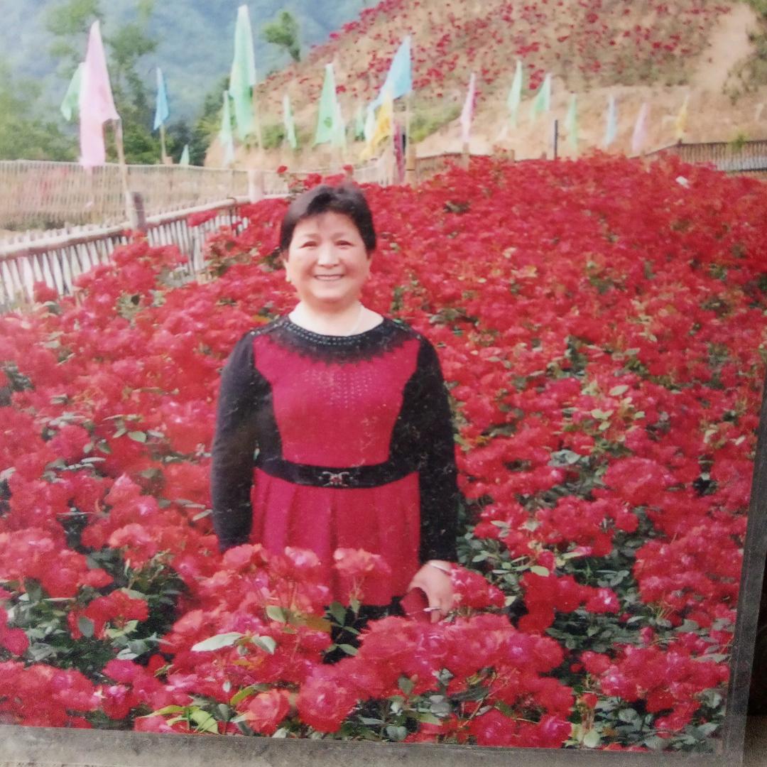 嫦娥奔月