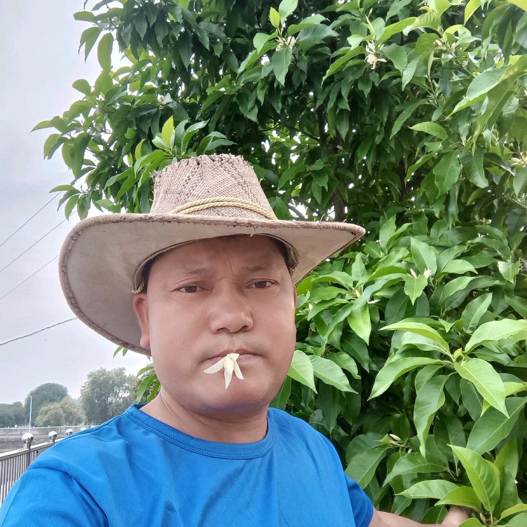 在梦里约您