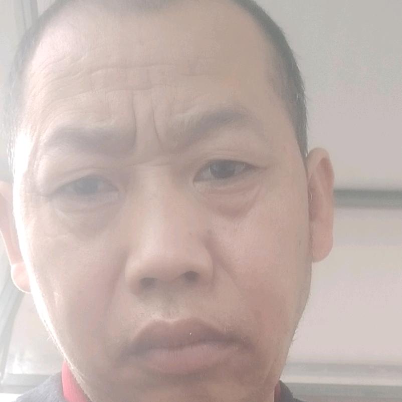 黑猫