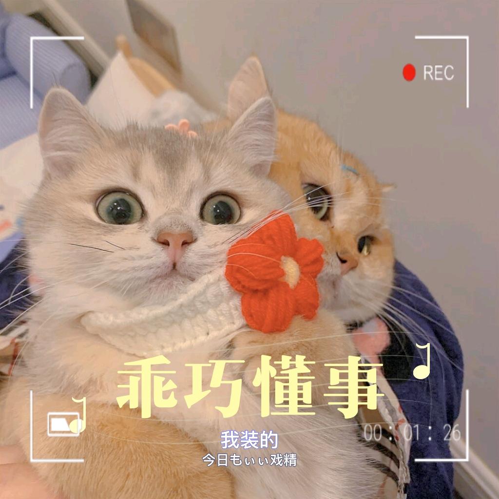 追剧狂魔