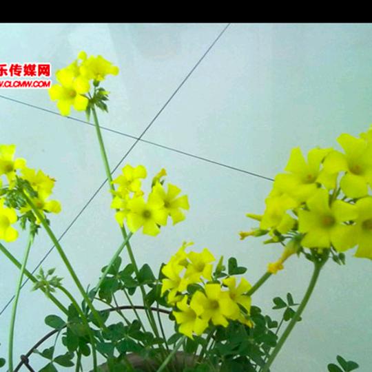 请别连赞