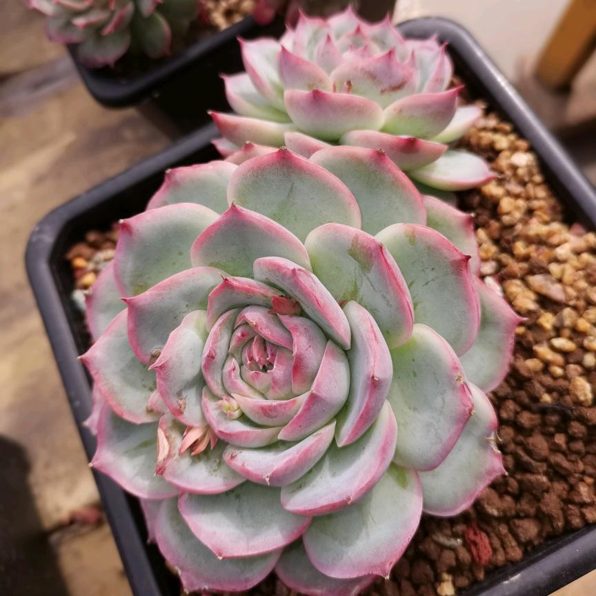 🍀浪子敏D☺️