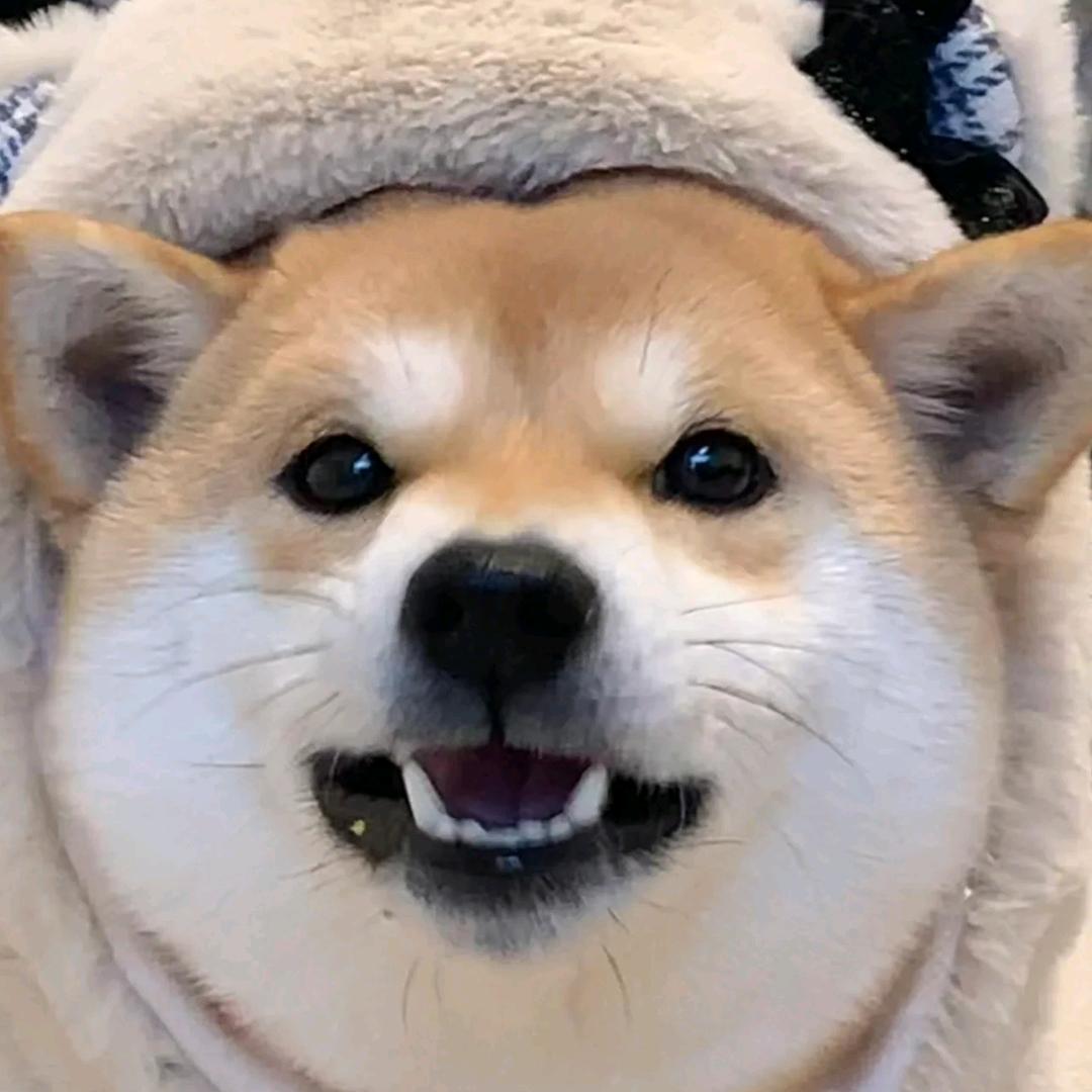 敷衍