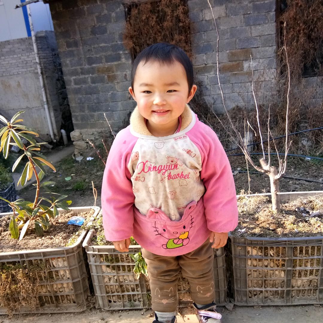 杨大姐