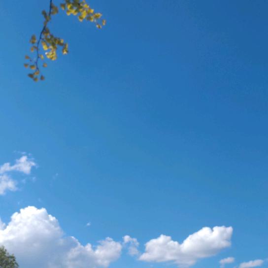 湉湉