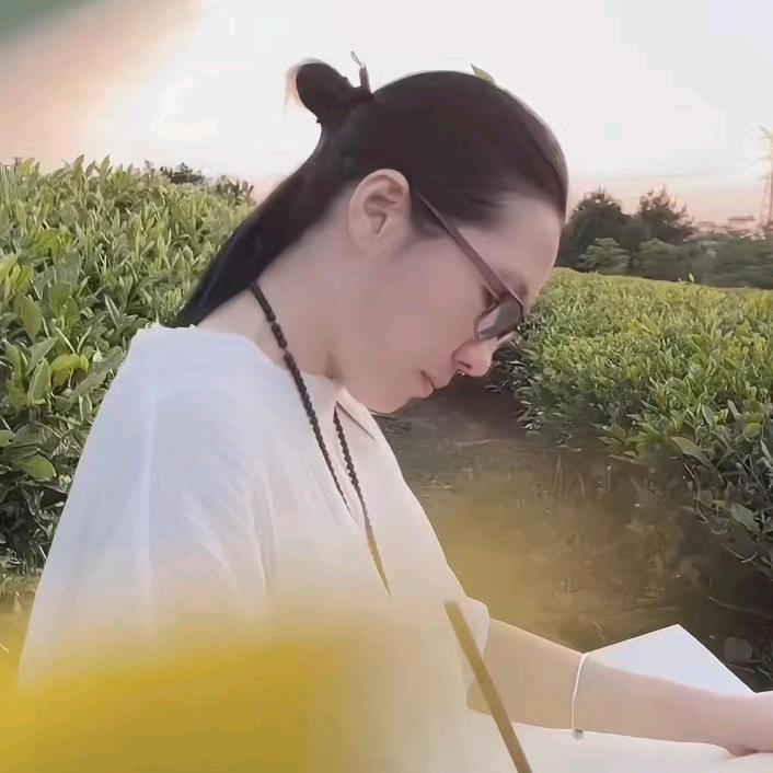 金陵书公子