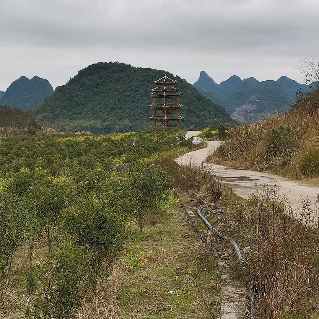 选择不对努力白费