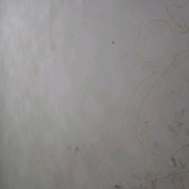 hxs