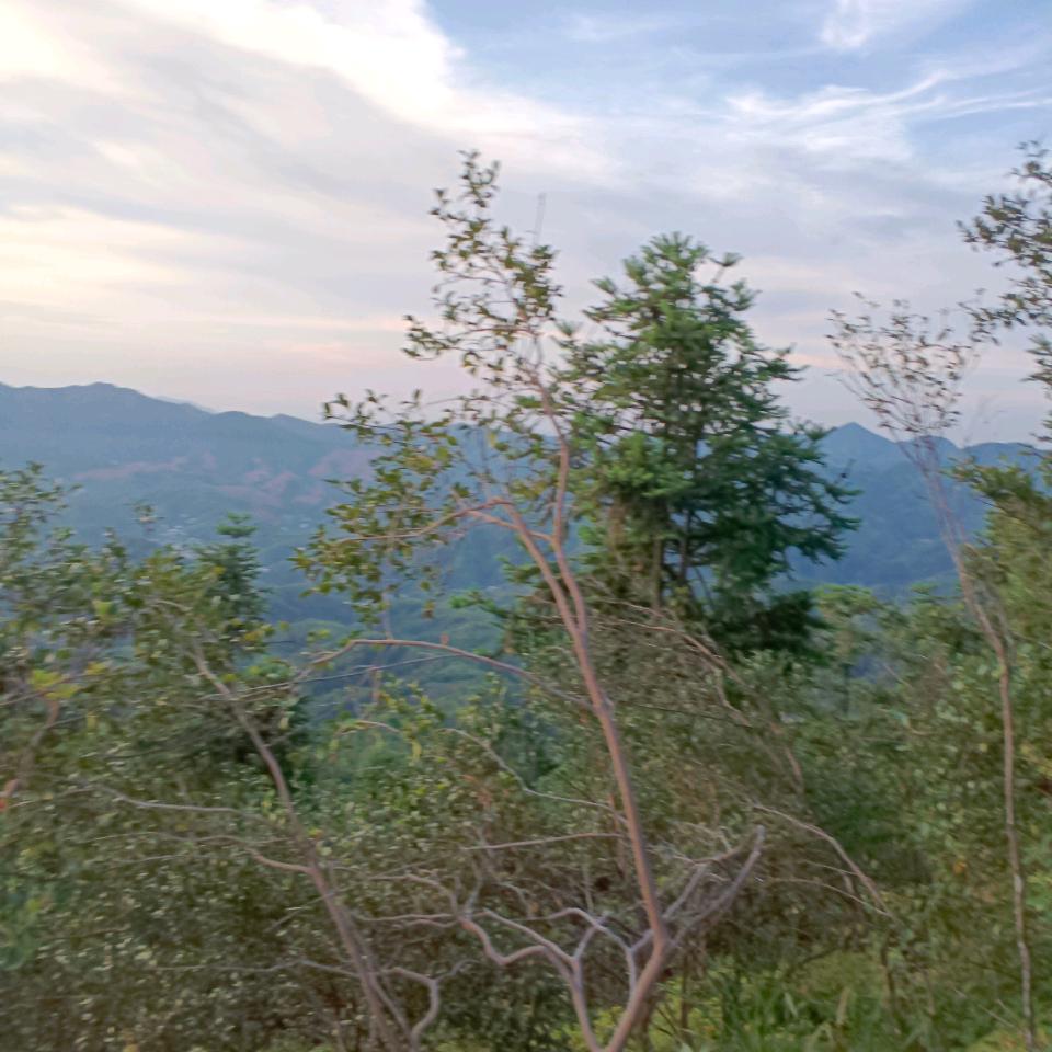 梦想未来