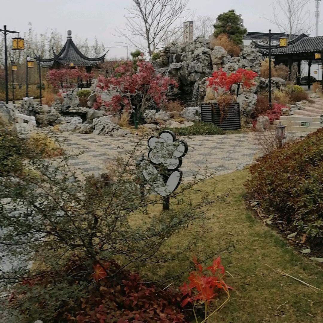 小杜姐