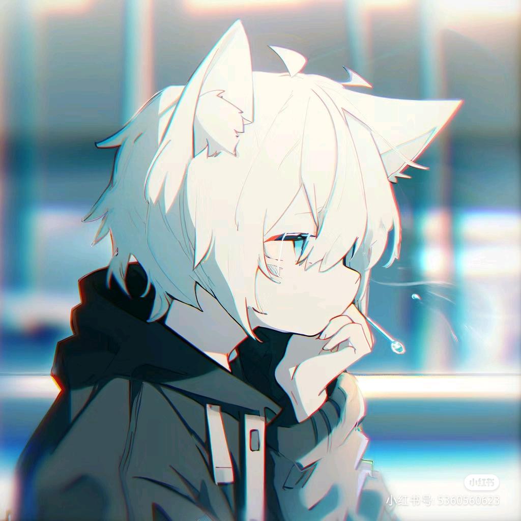 Mr.鹿屿（二次元摄影版）